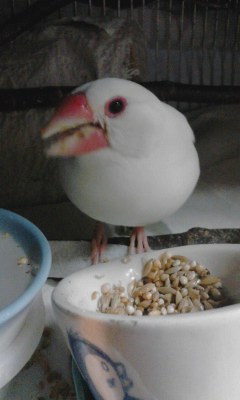 ・∋{健啖家