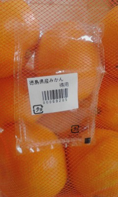 徳島県産みかん