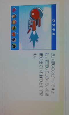 うさぎ