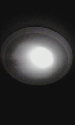 電球