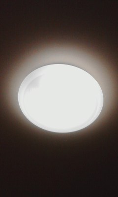 電気