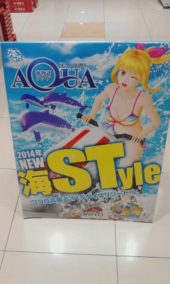 海