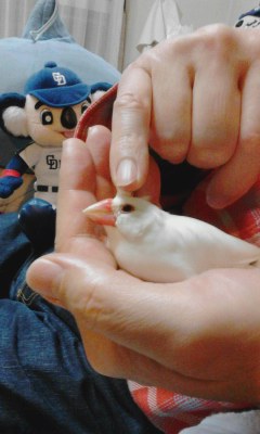 ・∋{もっと撫でれ