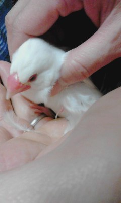 ・∋{つまむな