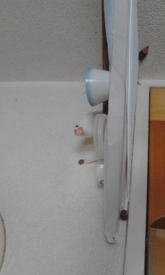 ・∋{憩いの場