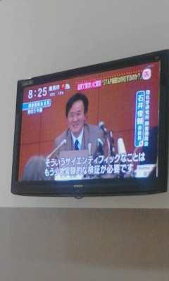 スッキリ