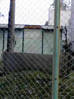 トタン屋根飛んだ