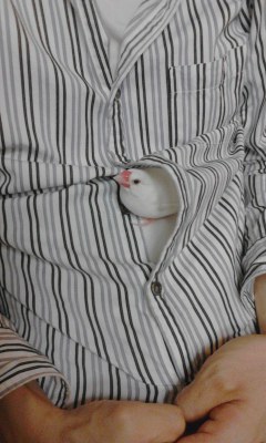 ・∋{これも有りやな！