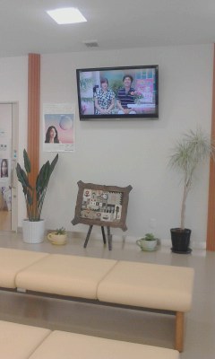 ＴＶ