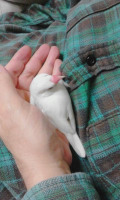 ・∋{梅雨寒