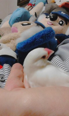 ・∋{3位だな
